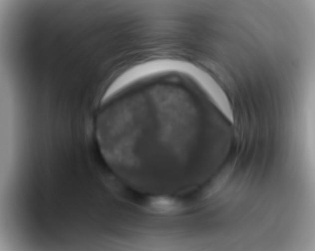 X0000095920380200802081118