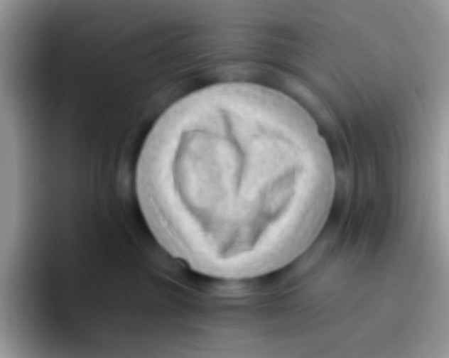 X0000095920381200802081118