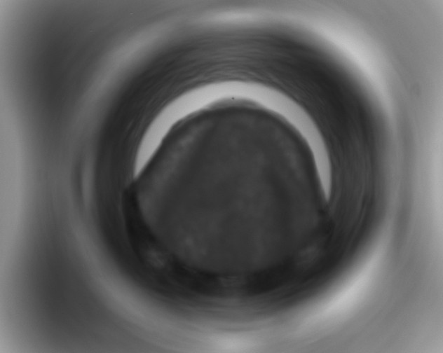 X0000095920382200802081118