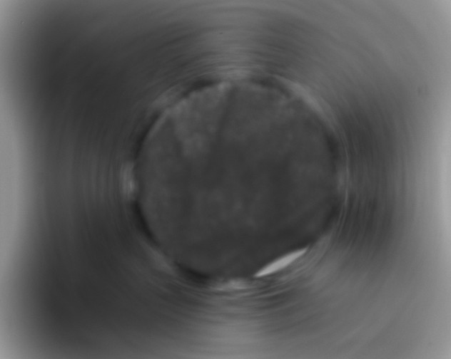 X0000095920383200802081118