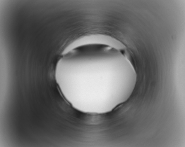 X0000095920384200802081118