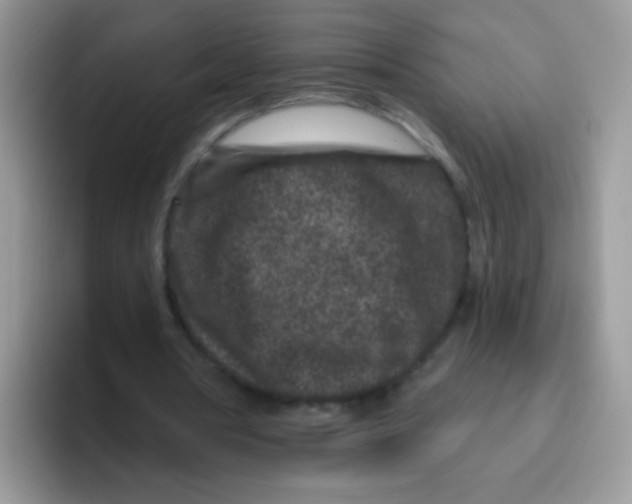 X0000095920386200802081117