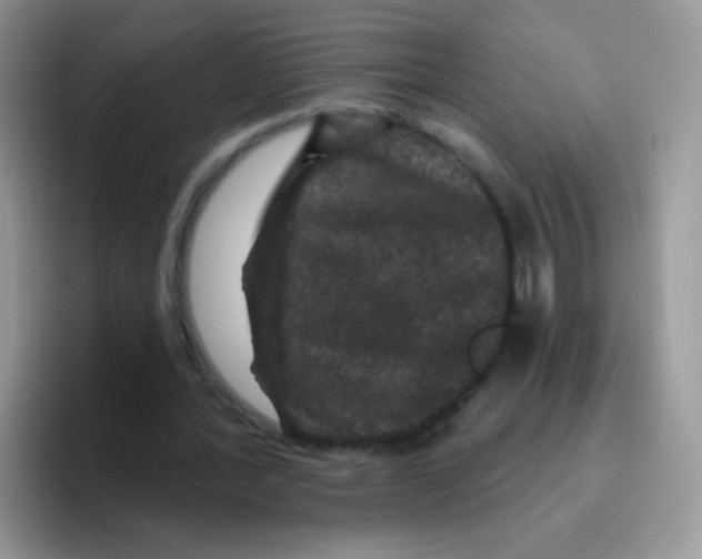 X0000095920388200802081117