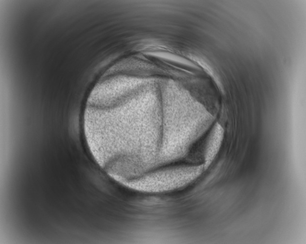 X0000095920390200802081117