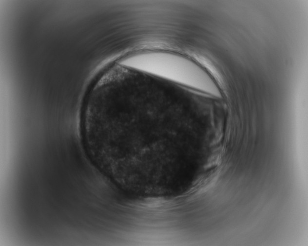 X0000095920391200802081117