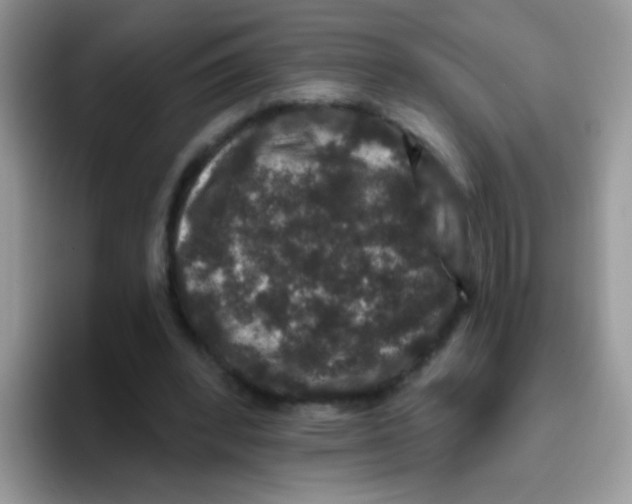 X0000095920392200802081117