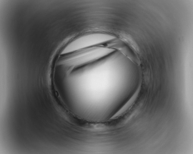 X0000095920395200802081117