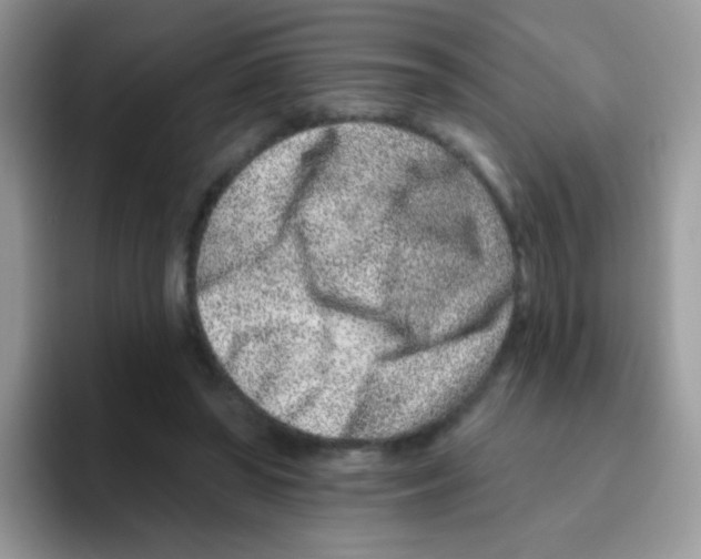 X0000095920398200802081117