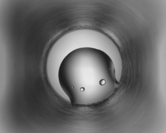 X0000095920399200802081117