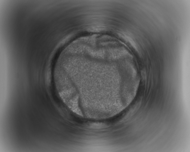 X0000095920400200802081117