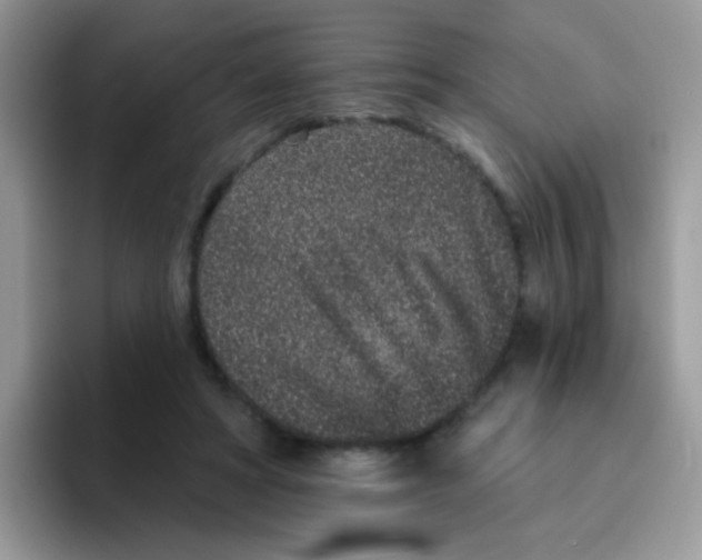 X0000095920402200802081117