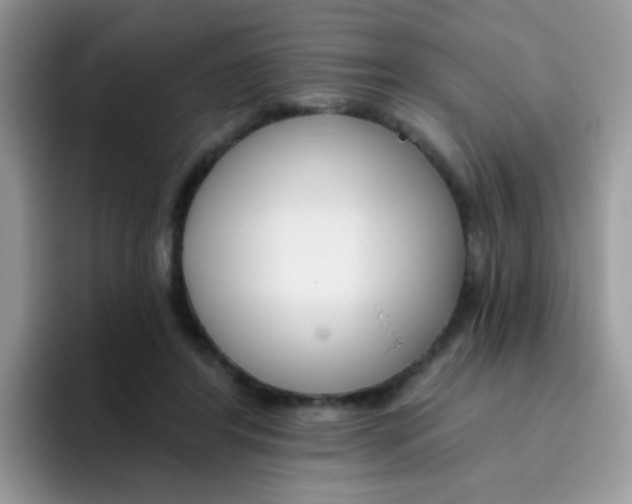 X0000095920404200802081117