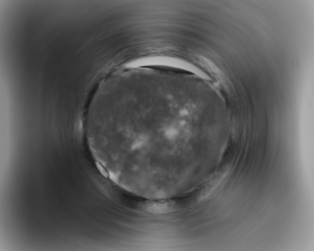 X0000095920405200802081117