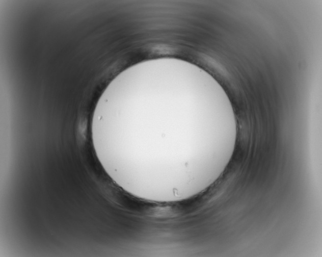 X0000095920406200802081117