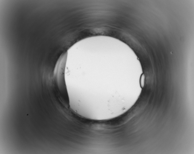 X0000095920408200802081117