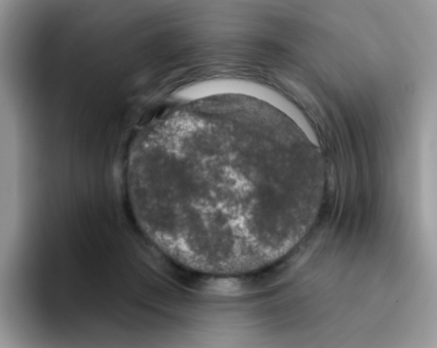 X0000095920409200802081117