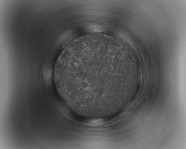 X0000095920410200802081117