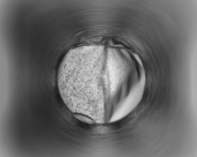 X0000095920413200802081117