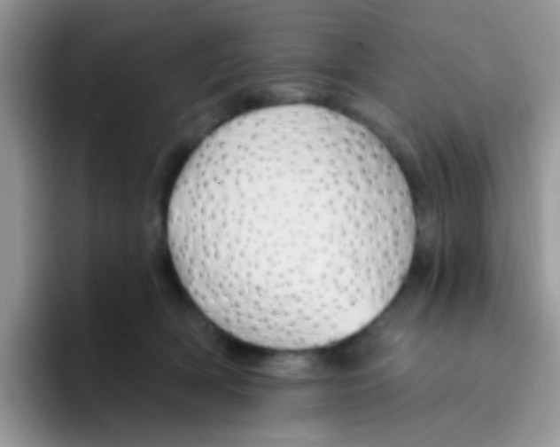 X0000095920418200802081117