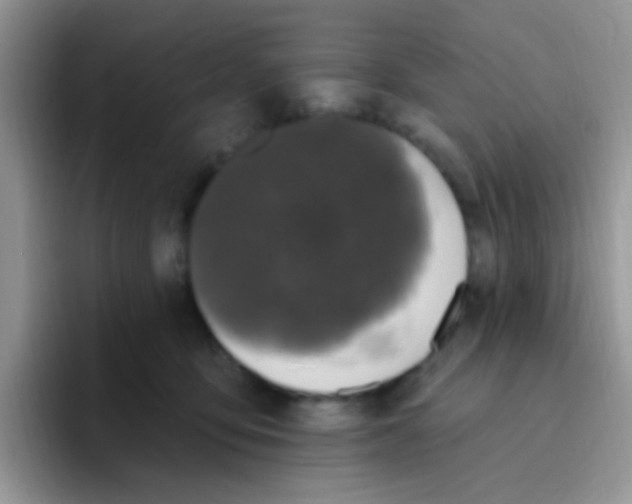 X0000095920419200802081117