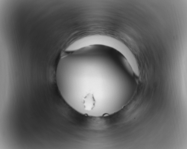 X0000095920421200802081117