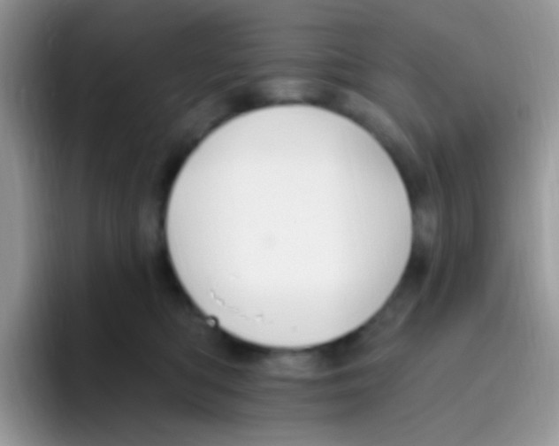 X0000095920422200802081117