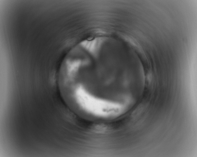 X0000095920423200802081117