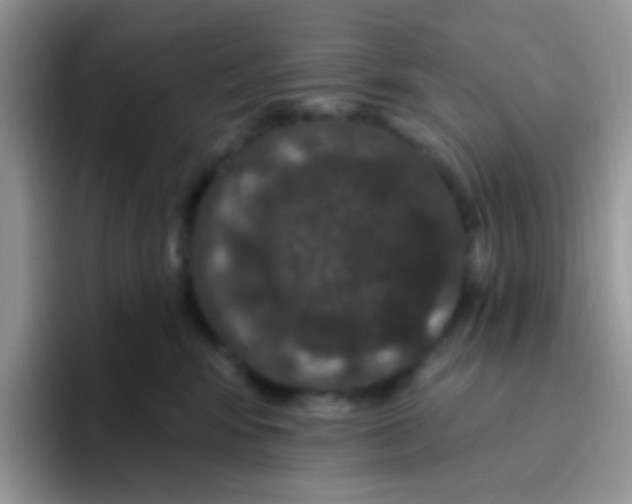 X0000095920424200802081117