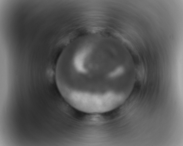 X0000095920427200802081117