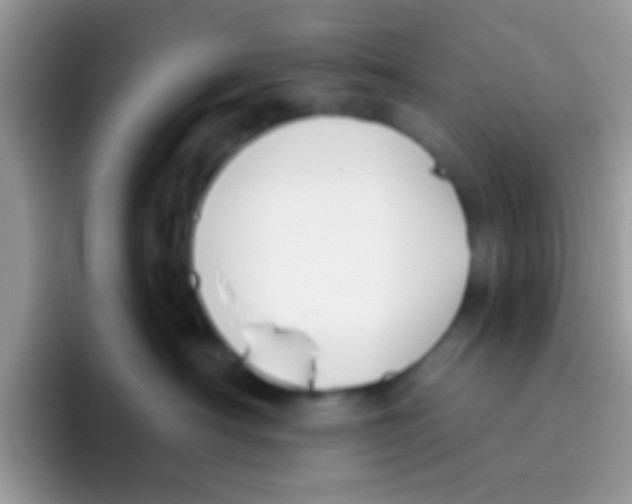 X0000095920430200802081117