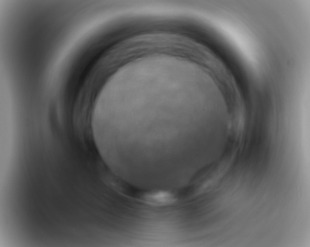 X0000095920431200802081117