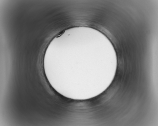 X0000095920433200802081116