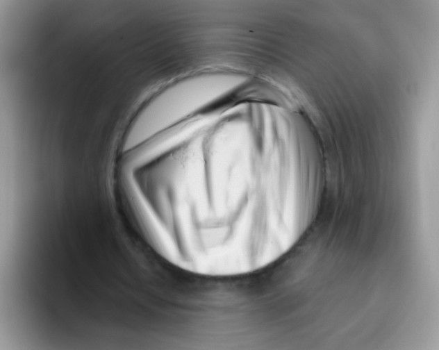 X0000095920434200802081116