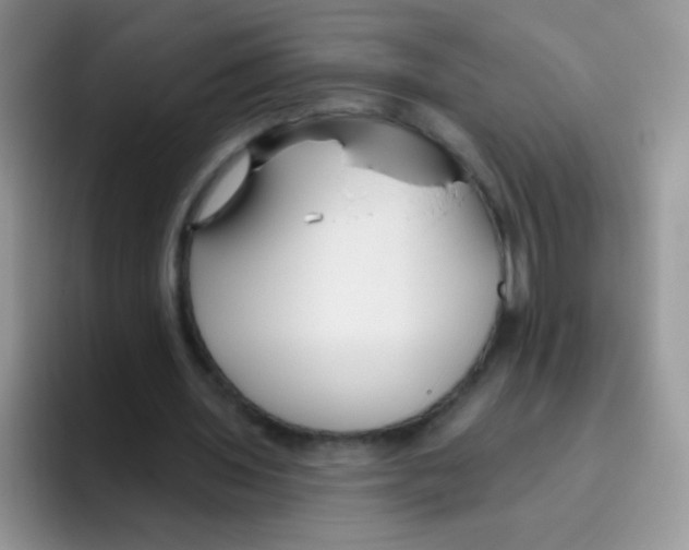 X0000095920435200802081116