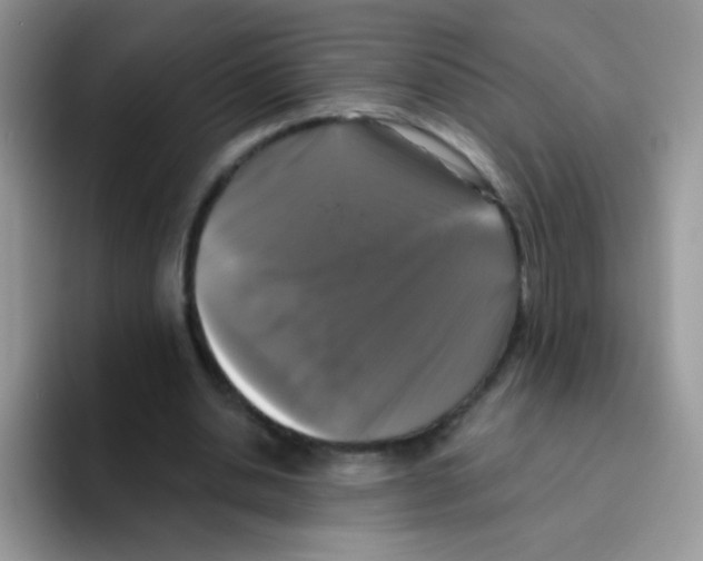 X0000095920438200802081116