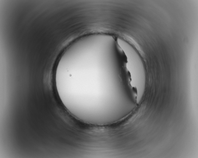 X0000095920439200802081116