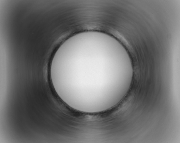 X0000095920442200802081116