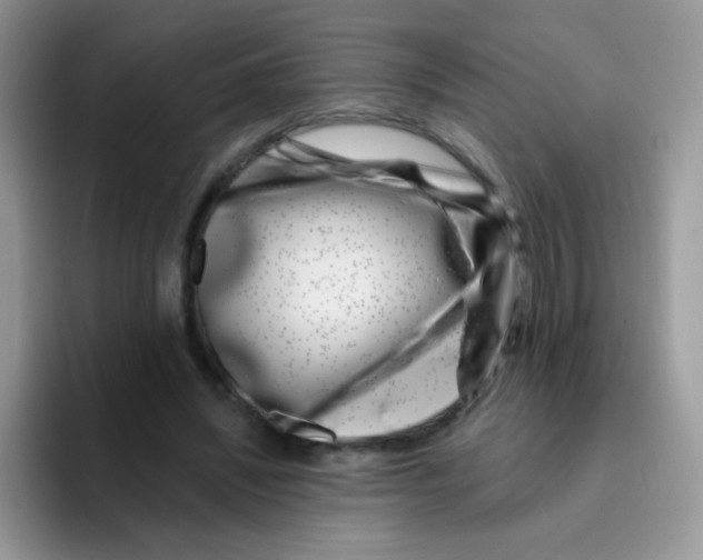 X0000095920444200802081116