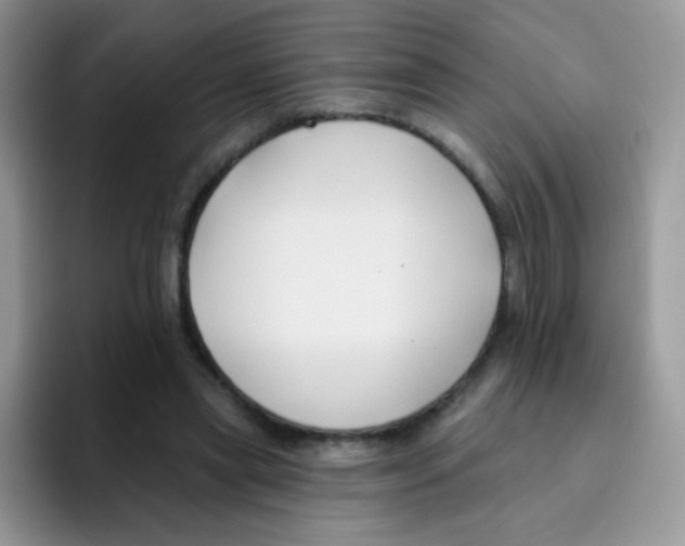 X0000095920445200802081116