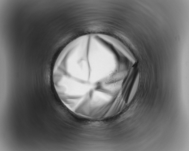 X0000095920446200802081116