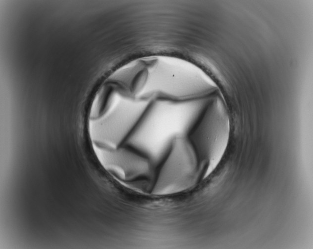 X0000095920447200802081116