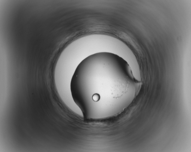 X0000095920448200802081116