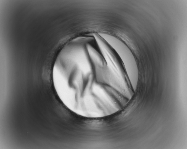 X0000095920449200802081116