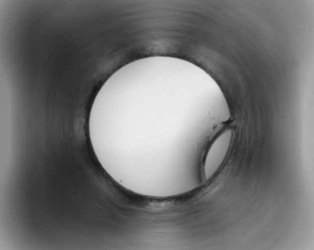 X0000095920450200802081116