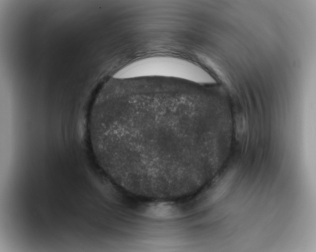 X0000095920451200802081116