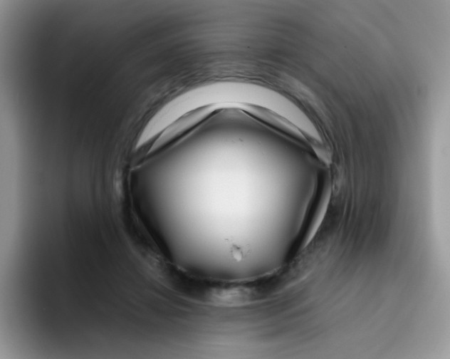 X0000095920452200802081116