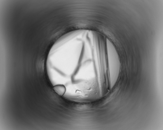 X0000095920454200802081116