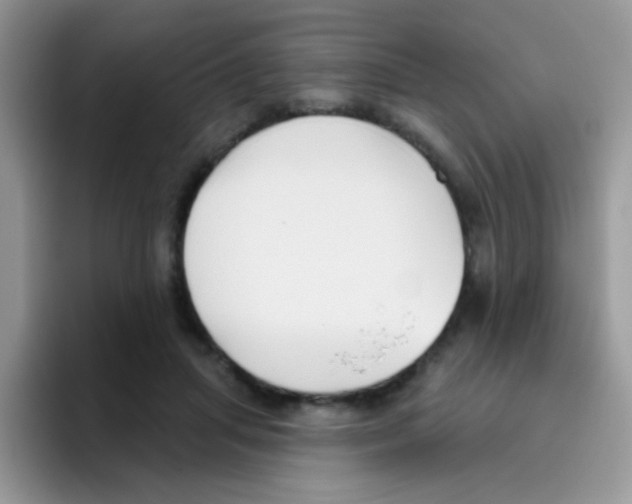 X0000095920455200802081116