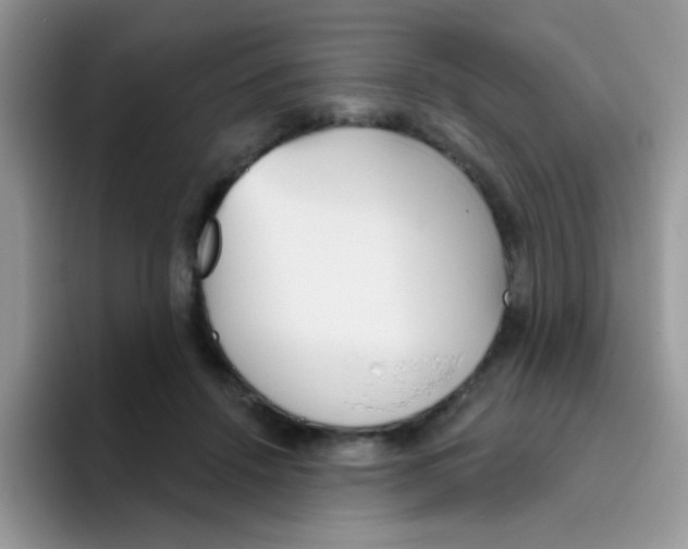 X0000095920456200802081116