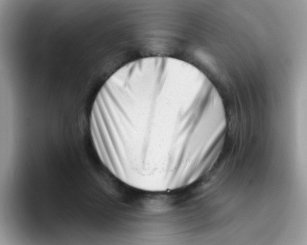 X0000095920459200802081117